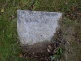 image of grave number 938207